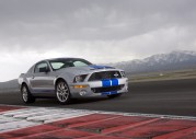 Shelby Cobra GT500 Show Car